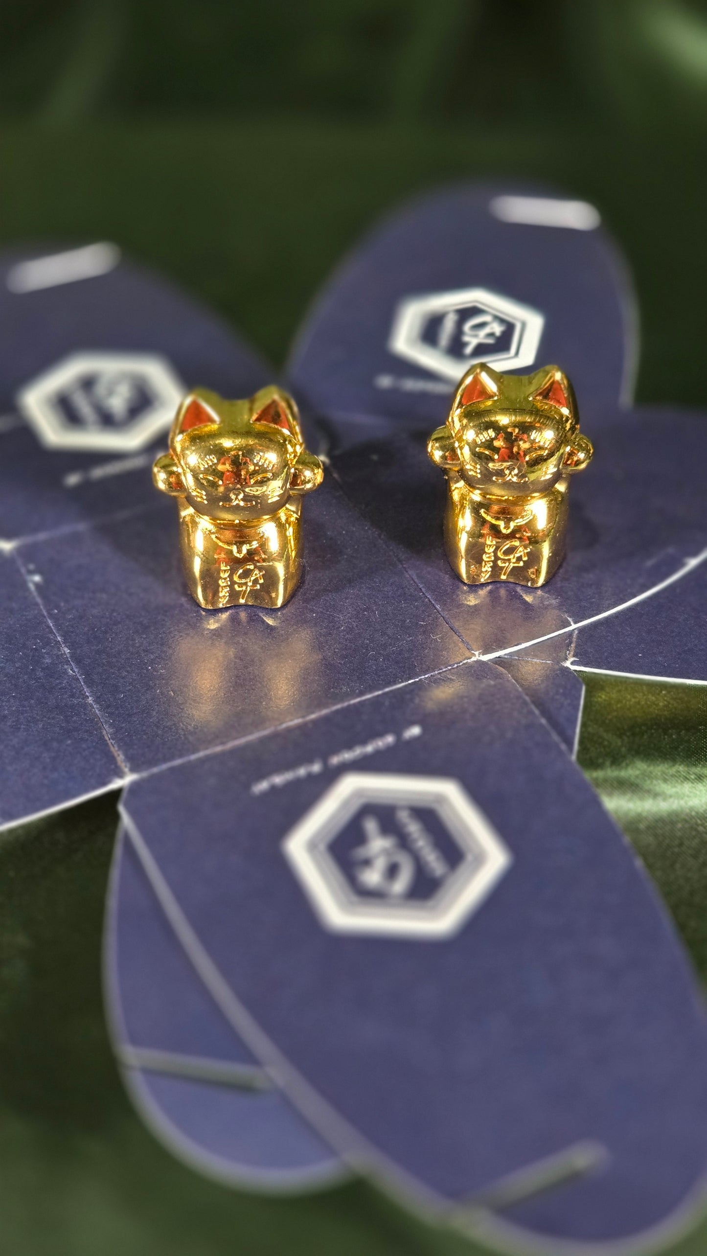 Gordon Ramsay Lucky Cat