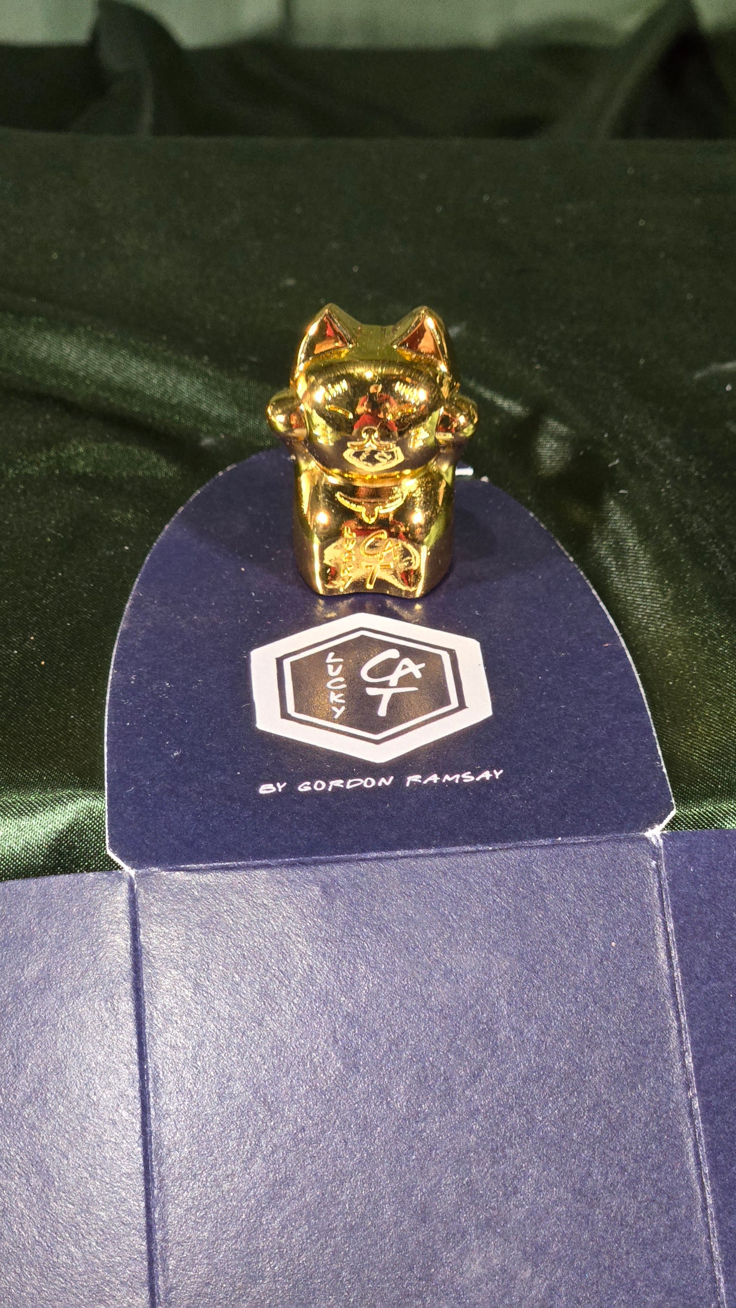 Gordon Ramsay Lucky Cat