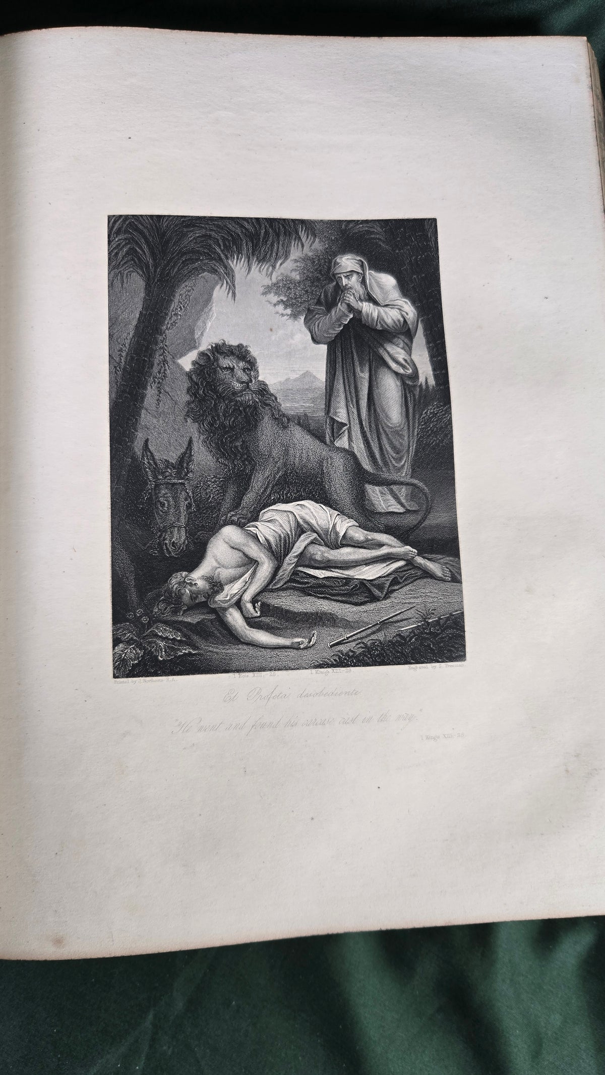 Annotated Family Bible