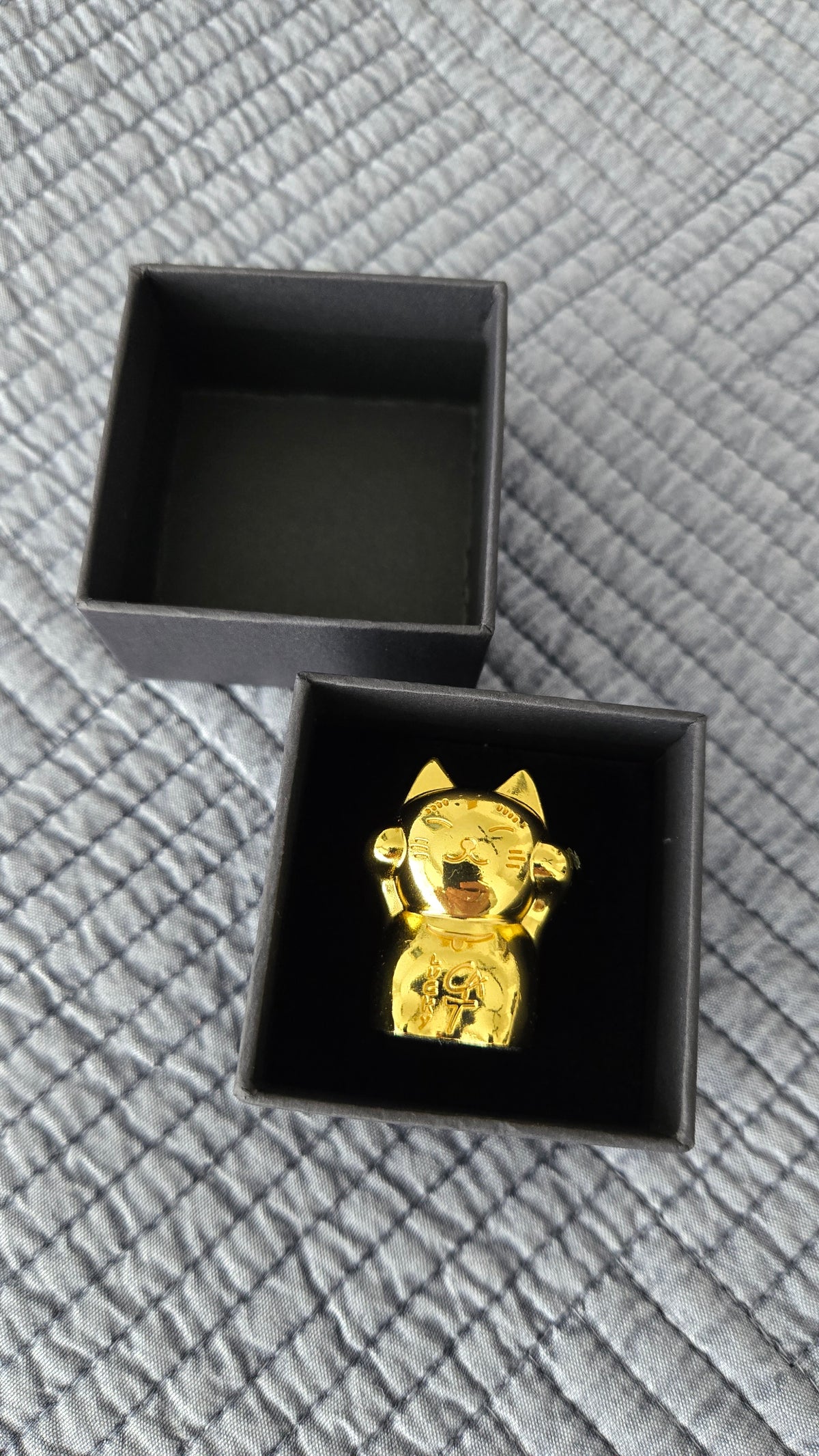 Gordon Ramsay Lucky Cat